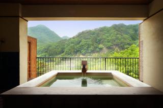 Tsuganoki - Nikko - 8