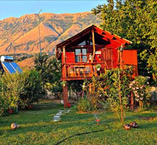 Life on the farm - 5