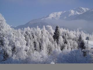 Ferienhaus Irene - 6