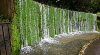 ハイ沖縄金武店トイレお風呂共用 プレオープン中駐車場有 ペット同伴可能長期滞在可能2025年10月より車貸し出しサービス有希望であればお申し付けください - 2