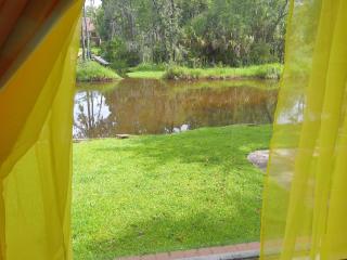 King Bed Creekfront Retreat in Jacksonville - 1