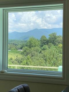 Cl To Dt Asheville & Weaverville- Apartment Inc - Weaverville - 6