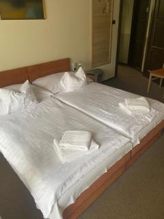 Hotel Molnár - Budapest - 8