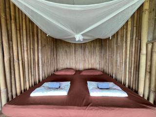 MonNaPaBongPiang Homestay ม่อนนาป่าบงเปียง โฮมสเตย์ - Ban Mae Pan Noi - 6