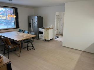 Basic Three Bedroom house close to the city - Lieto - 8