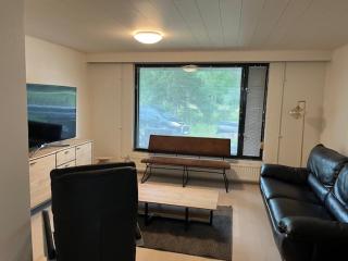 Basic Three Bedroom house close to the city - Lieto - 2
