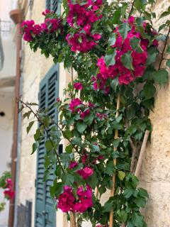 Saraceni Guest House - Lecce Centro Storico - Lecce - 8