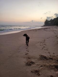 Peaceful Hideaway - 3BR Villa with tropical garden - 3