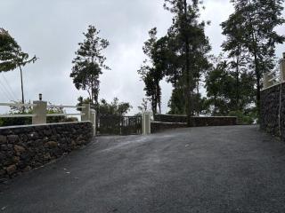 Pittappillil Mountain Lantern - 4