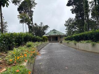 Pittappillil Mountain Lantern - 0