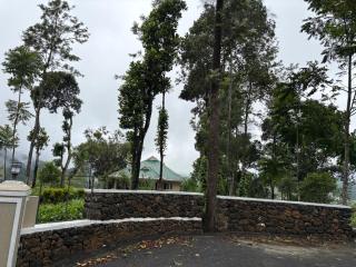 Pittappillil Mountain Lantern - 3