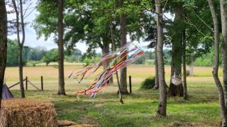 Les naturelles - Saint-Aubin-de-Locquenay - 6