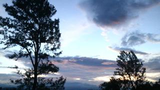 Ella Nest View Homestay - 3