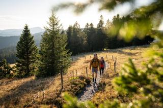 Bergseele Privat- & Retreathotel Schwarzwald - 2