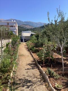 Little Paradise Livadi Himare - 0