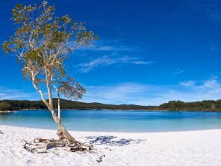 Secluded Luxury Villa 634 Kingfisher Resort - Kingfisher Bay - 0