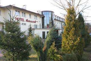 Hotel Ambasador Chojny - Łódź - 8