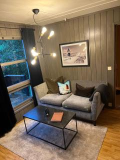 Hafjell Alpinlandsby - 5