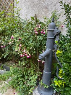 Chambre Veteranova - 1