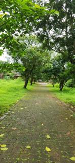 Gulmohar Villa tamhini ghat, Kolad Rafting - - 2