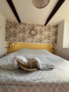 Studio Bienvenue du côté de chez nous avec jardin privatif - Wignehies - 0