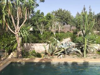 Villa typique avec piscine - 2