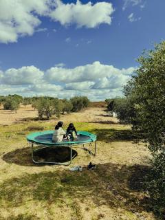 Olivida Farm - 2