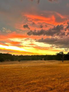 Eversprings Glamping - Mount Helena - 8