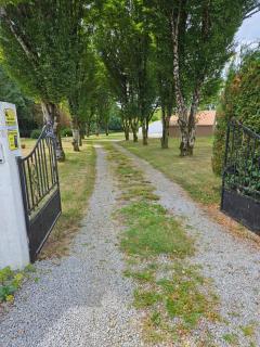 Menthe - Challans - 2