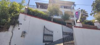Anna Studio and Apartments - Tsilivi - 5
