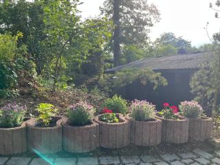 Loreley Hideaway - - 7