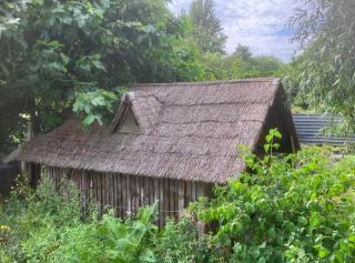 The Old Packing Shed - 5