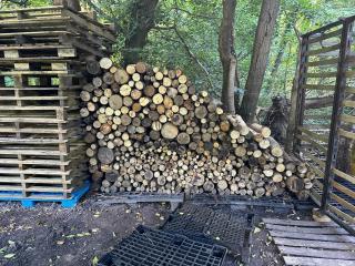 Clairière de 3000m2 en pleine forêt - Luzarches - 3