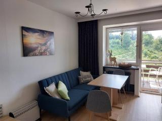 Haus Waldruh Andreasberg - 8