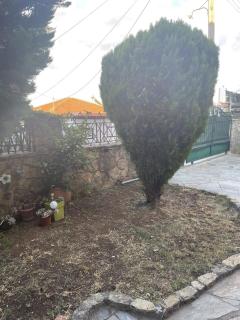 Garden House - - 1