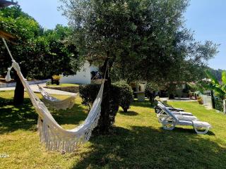 Quinta de S. Vicente 317 - Vila Nova de Famalicão - 7