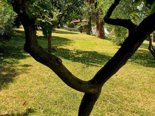Quinta de S. Vicente 317 - Vila Nova de Famalicão - 5