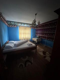 Casa Vlad-Alex - Săpânța - 2