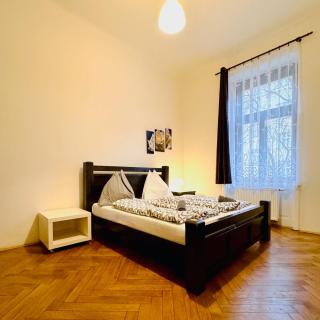 Spacious cozy apartments in centre - Prague - 4