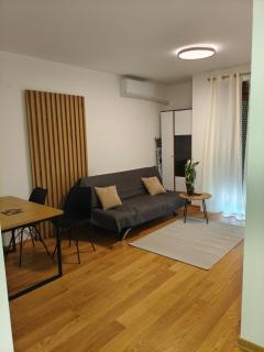 Apartmani Vila Radan - 0