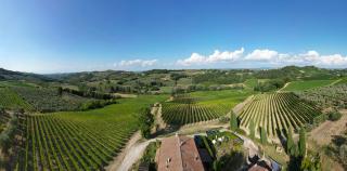 I Vigneti del Chianti - 0