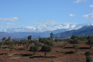Atlas Ecosite - Amizmiz - 1