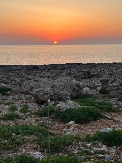 Cheap apartment with a sunny garden in Menorca - 1
