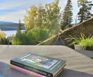 WOOD HOUSE GARDEN Lakeview Mjøsa -30 min OSL - 4