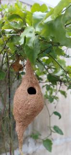 Kiwis Nest Homestay - 5