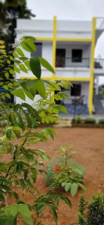Kiwis Nest - Cochin - 2