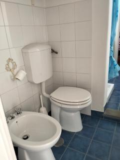 PAOLINA apartment - Montevarchi - 1
