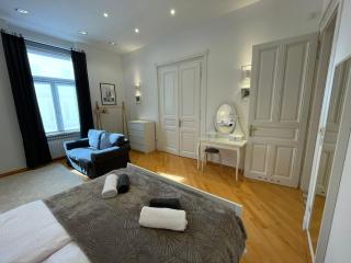 Mimi - luxury cozy apartment in center of Zagreb Croatia - 7