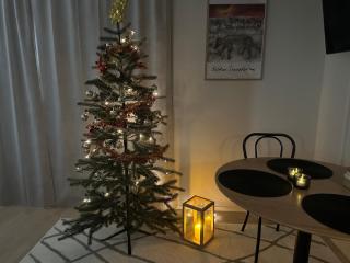 Modern New City Studio- Santa Claus Hometown - - 9