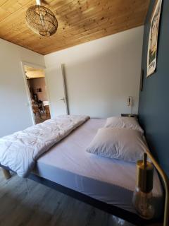 Jolie maison en bois à 600m de la plage des Vergnes - 7